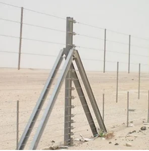 CAMEL FENCE