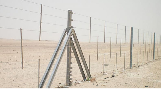 CAMEL FENCE